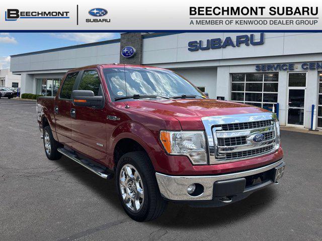 used 2013 Ford F-150 car
