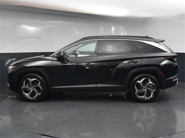 used 2024 Hyundai Tucson car, priced at $27,943