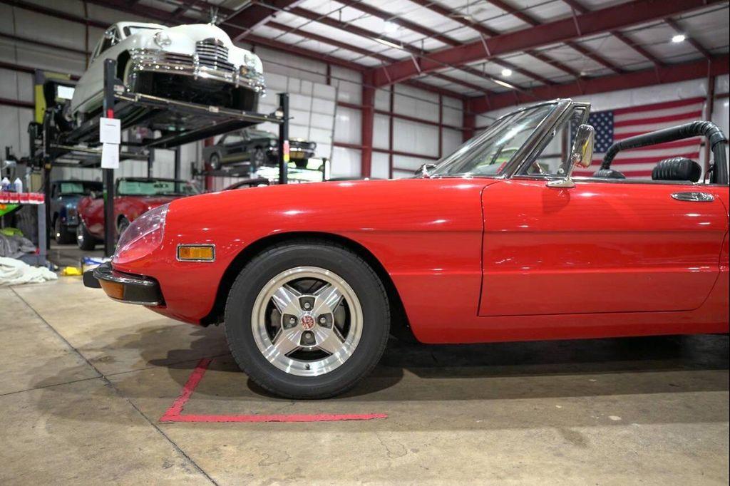 used 1974 Alfa Romeo Spider car, priced at $23,900