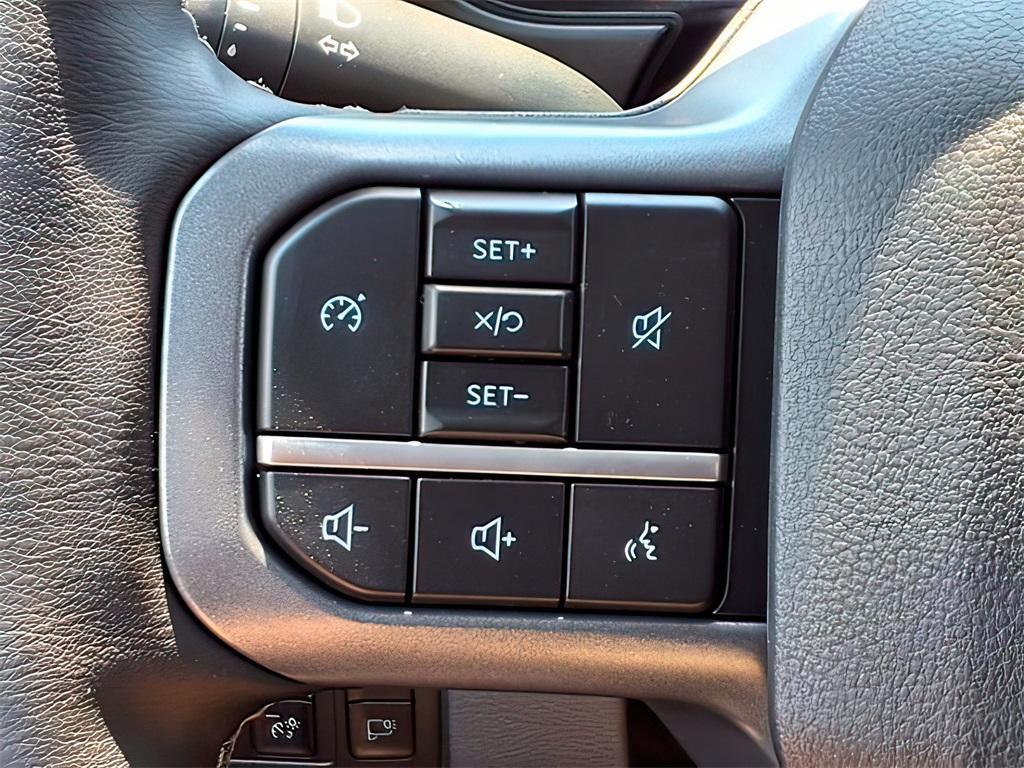 new 2025 Ford F-250 car, priced at $79,999