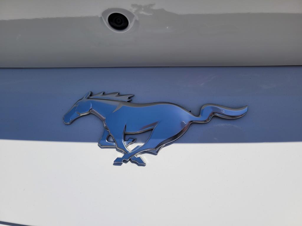 used 2024 Ford Mustang car, priced at $33,494