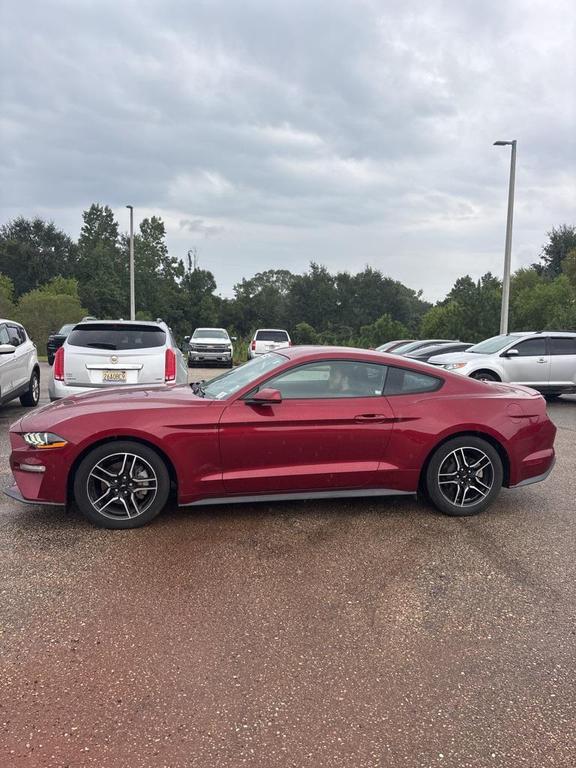used 2019 Ford Mustang car, priced at $18,987