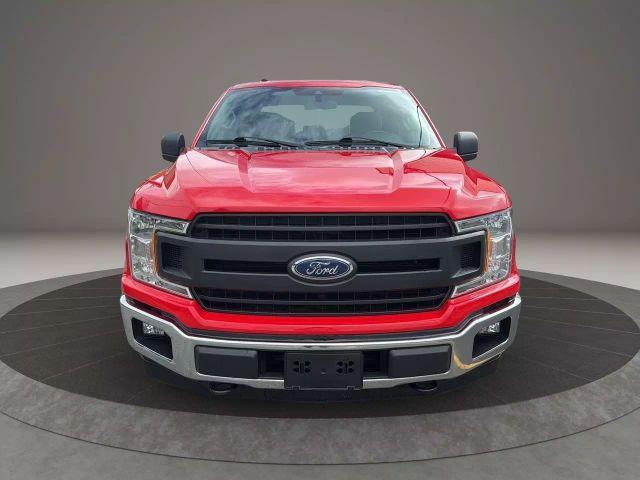 used 2019 Ford F-150 car, priced at $19,999