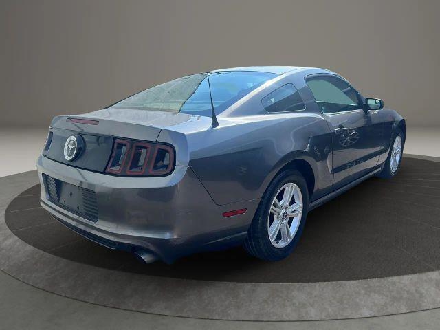 used 2014 Ford Mustang car, priced at $12,999