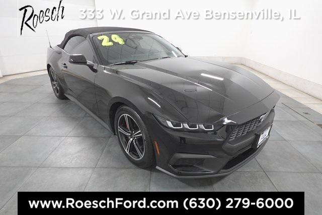 used 2024 Ford Mustang car, priced at $34,000