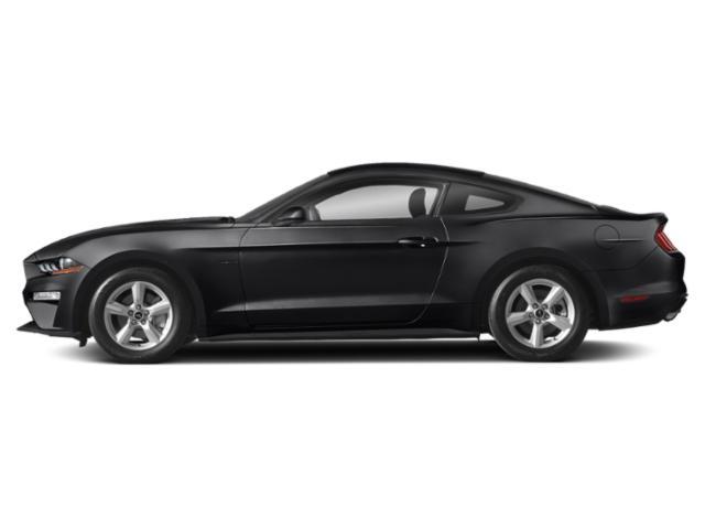 used 2019 Ford Mustang car