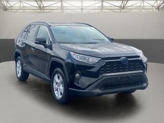 used 2019 Toyota RAV4 Hybrid car