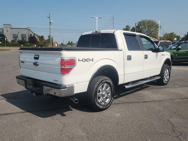 used 2013 Ford F-150 car