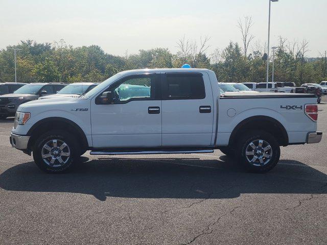 used 2013 Ford F-150 car