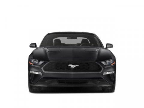 used 2019 Ford Mustang car, priced at $19,900