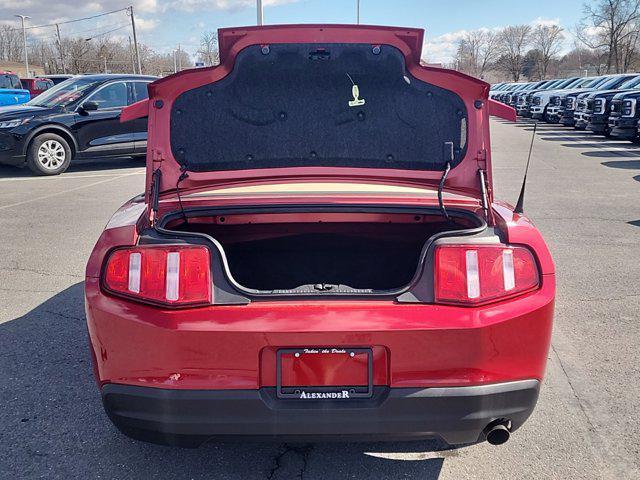 used 2010 Ford Mustang car