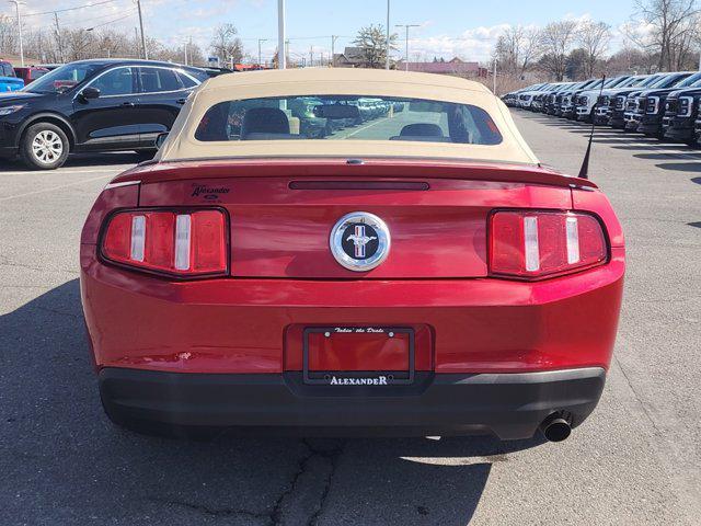 used 2010 Ford Mustang car