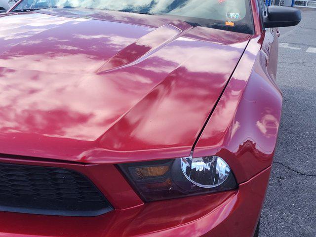 used 2010 Ford Mustang car