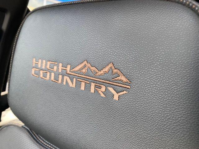 used 2023 Chevrolet Silverado 1500 car, priced at $54,500