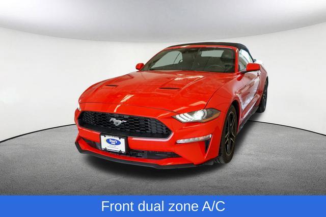 used 2023 Ford Mustang car