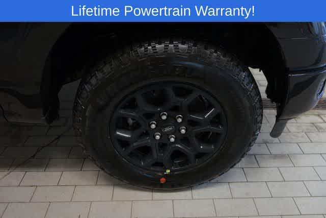 new 2025 Ford F-150 car, priced at $49,300