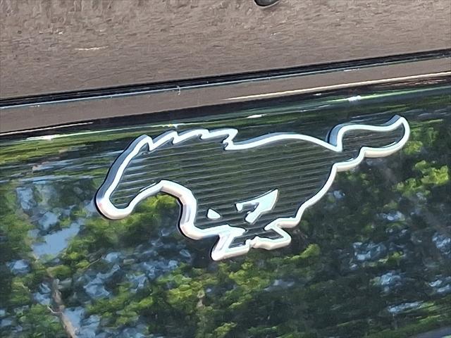 new 2025 Ford Mustang Mach-E car, priced at $46,690