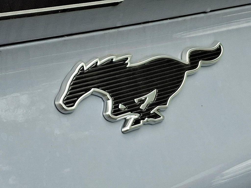 new 2025 Ford Mustang Mach-E car, priced at $61,325
