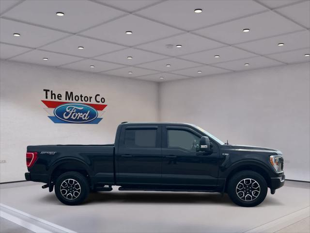 used 2022 Ford F-150 car