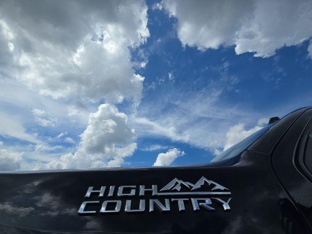 used 2022 Chevrolet Silverado 2500 car, priced at $56,495