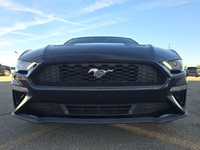 used 2023 Ford Mustang car, priced at $30,000