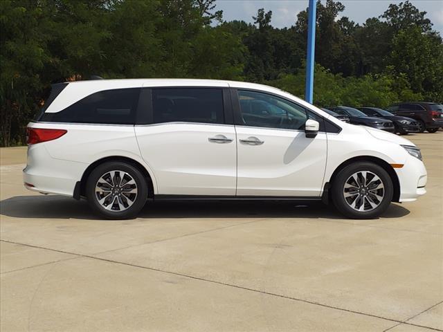 new 2024 Honda Odyssey car, priced at $43,160