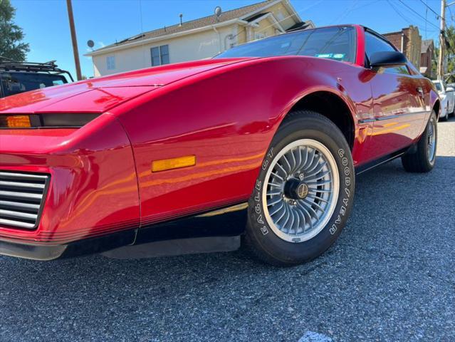 used 1983 Pontiac Firebird car, priced at $19,988