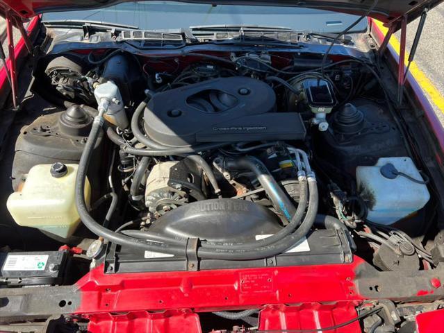 used 1983 Pontiac Firebird car, priced at $19,988