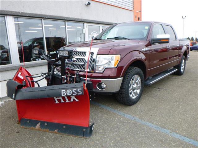 used 2010 Ford F-150 car