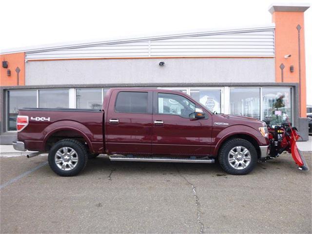 used 2010 Ford F-150 car, priced at $19,995