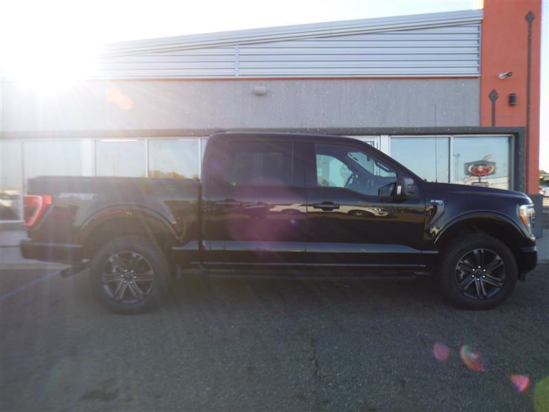 used 2021 Ford F-150 car