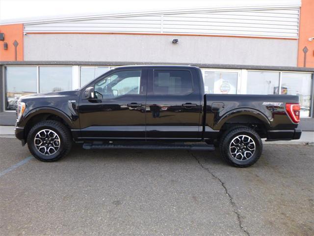 used 2023 Ford F-150 car