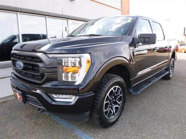 used 2023 Ford F-150 car