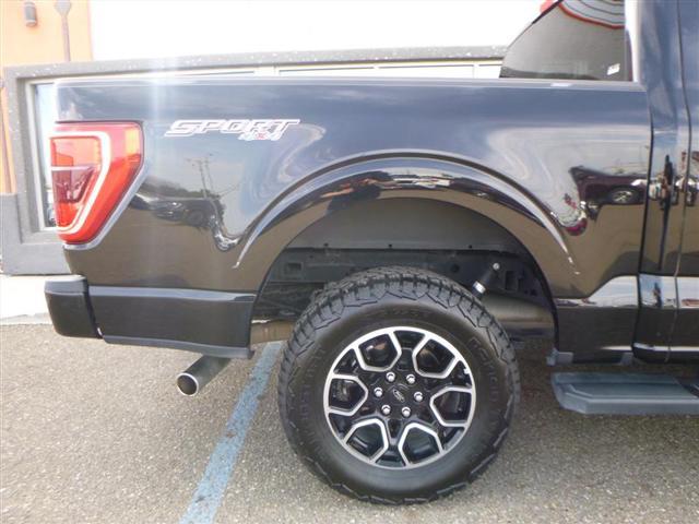 used 2023 Ford F-150 car
