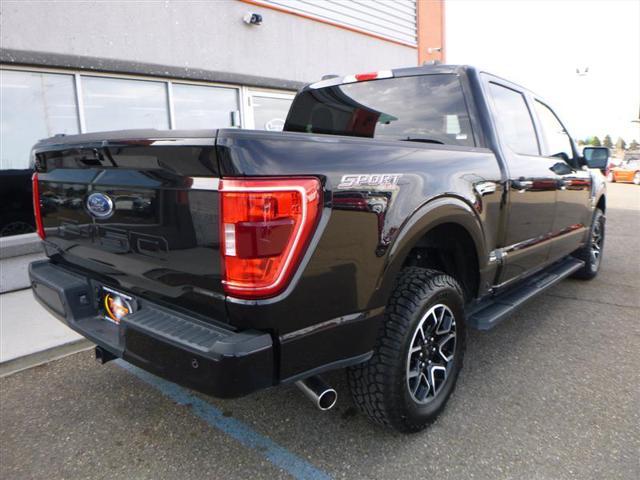 used 2023 Ford F-150 car