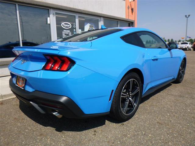 used 2024 Ford Mustang car
