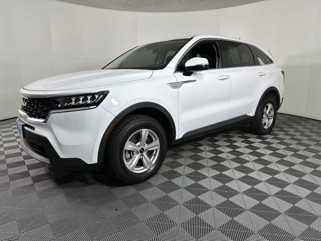 used 2023 Kia Sorento car, priced at $23,999