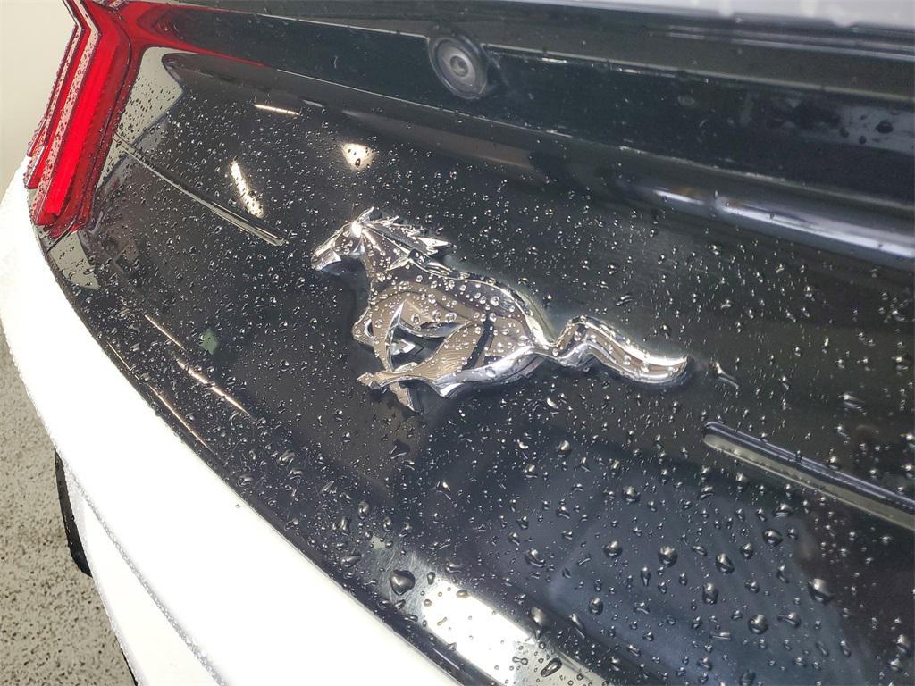 used 2021 Ford Mustang car, priced at $19,988