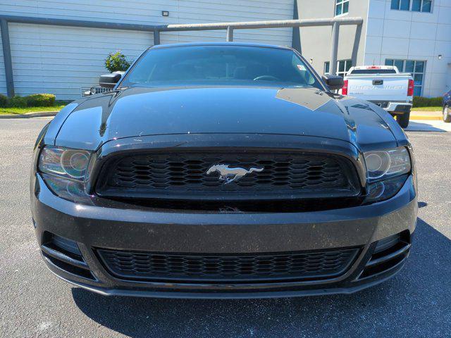 used 2013 Ford Mustang car