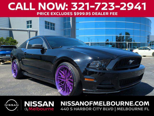 used 2013 Ford Mustang car