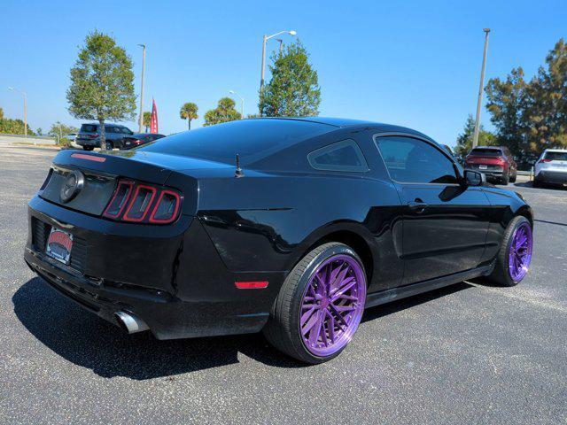 used 2013 Ford Mustang car