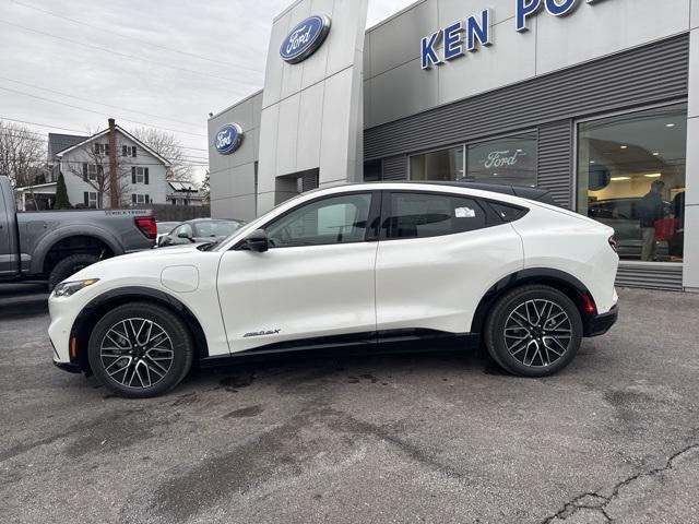 new 2024 Ford Mustang Mach-E car, priced at $49,300