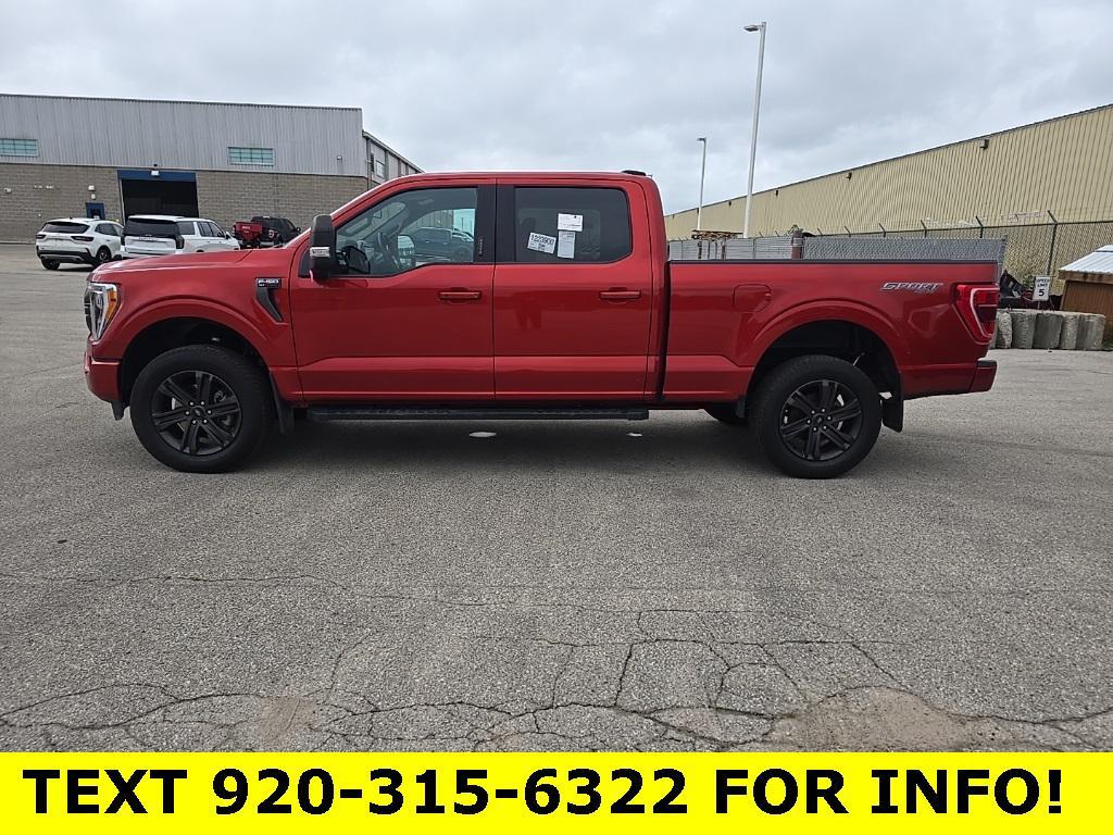 used 2023 Ford F-150 car, priced at $44,497
