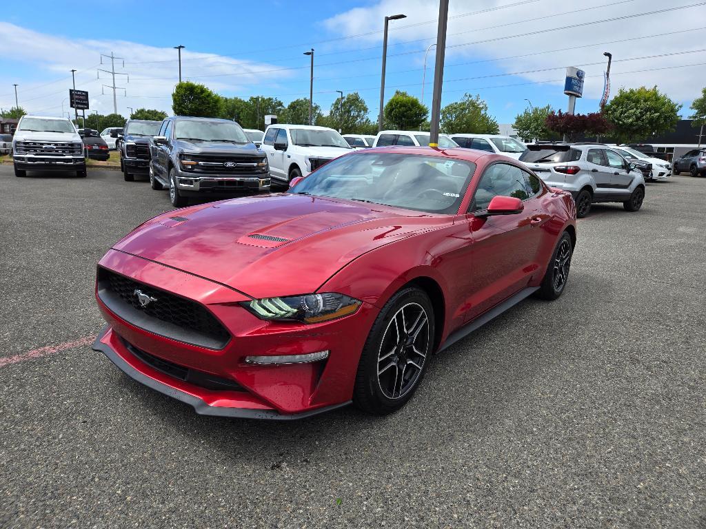 used 2022 Ford Mustang car, priced at $24,991