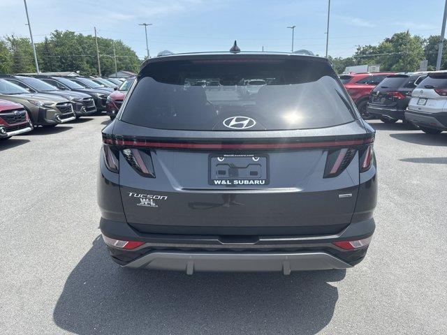 used 2023 Hyundai Tucson car, priced at $28,873