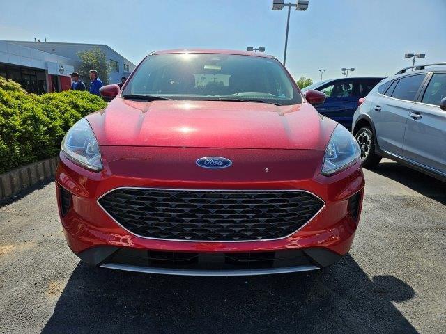 used 2020 Ford Escape car, priced at $19,799