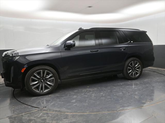 used 2023 Cadillac Escalade car, priced at $93,980