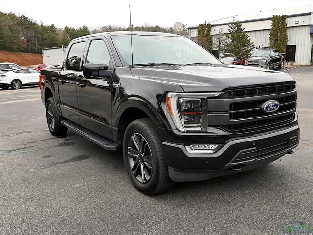 used 2023 Ford F-150 car, priced at $57,995