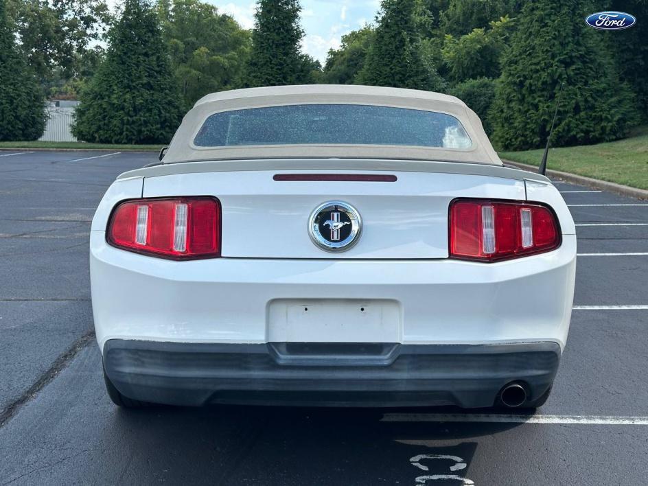 used 2010 Ford Mustang car, priced at $6,999