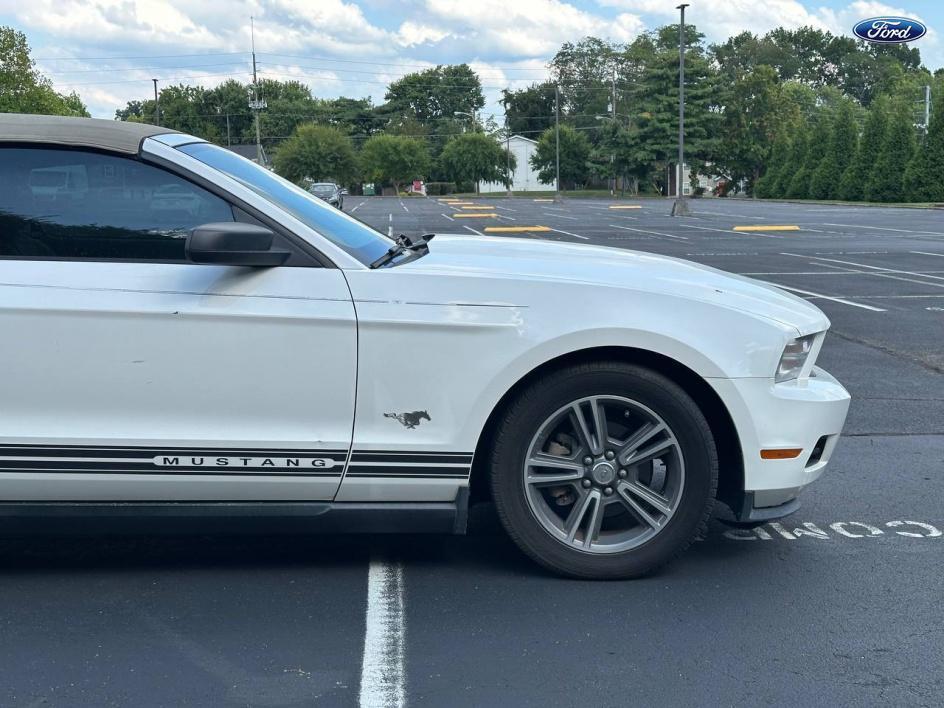used 2010 Ford Mustang car, priced at $6,999